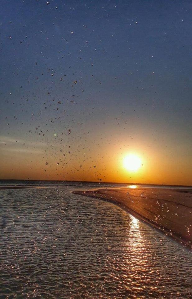 Pousada Praia Mansa - Ana E Agnaldo Superagui Zewnętrze zdjęcie